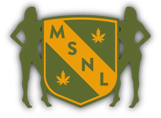 MSNL Logo